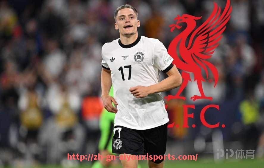 爱游戏体育官网-法甲球队财务报表分析及其对俱乐部运营的指导意义