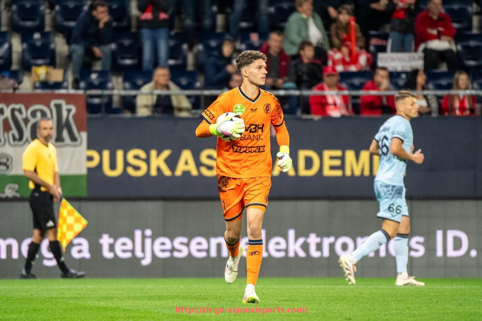 爱游戏体育官网-2025年世俱杯赛事资金投入情况及使用效率评估