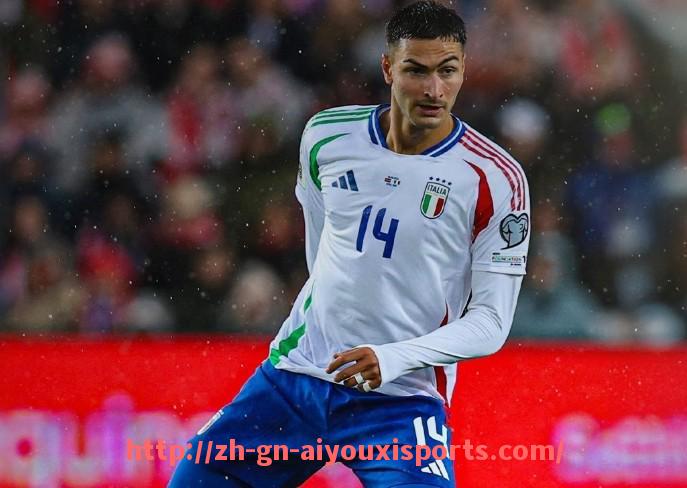 爱游戏体育官网-法甲外援作用研究：技术、经验与商业价值三重考量